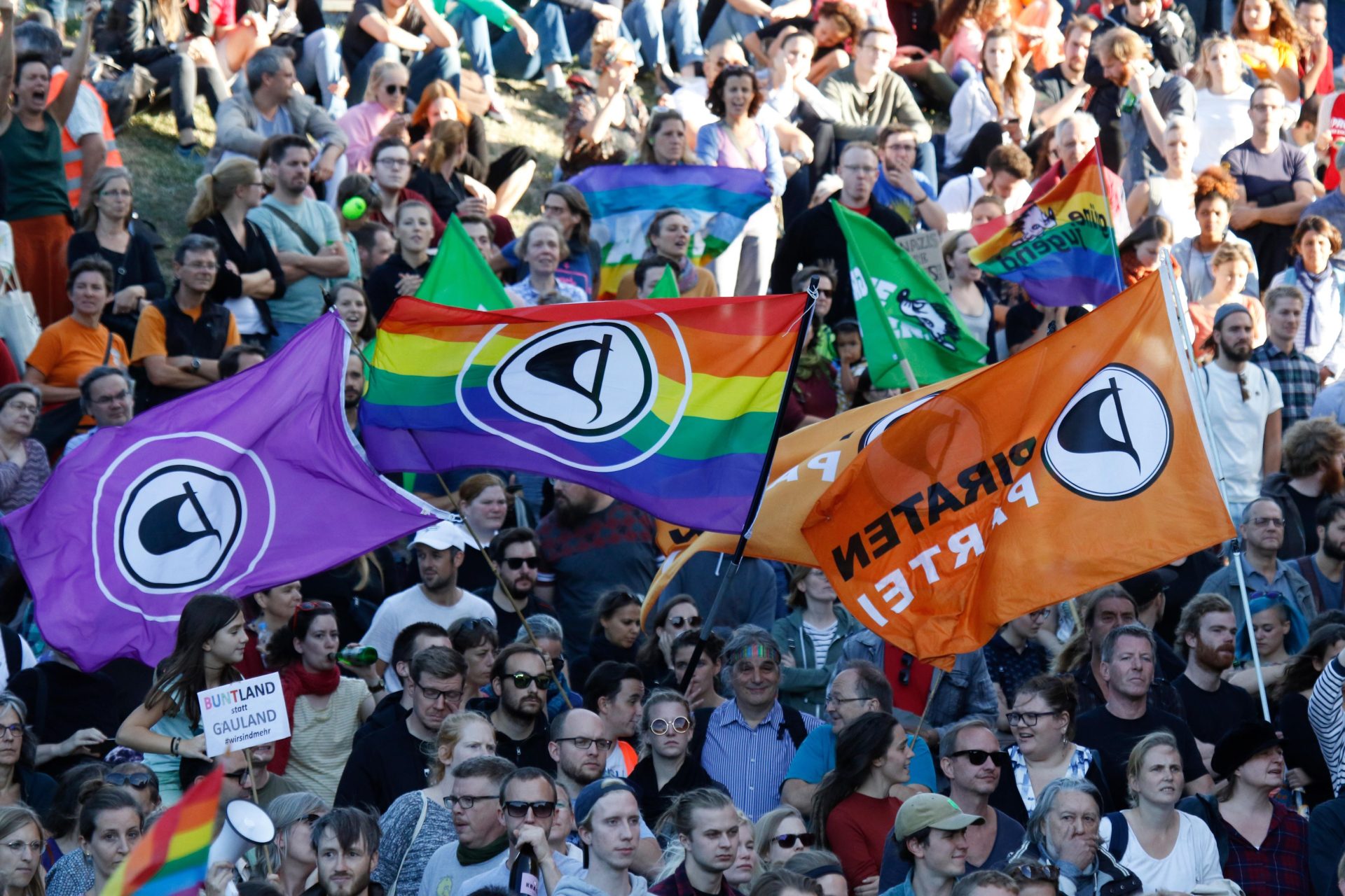 Pirate Party Flags at a demonstration